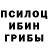 Псилоцибиновые грибы Cubensis Vishisht Singhal