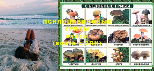 ALPHA PVP Богородск