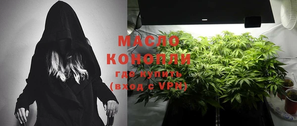 ECSTASY Богородицк