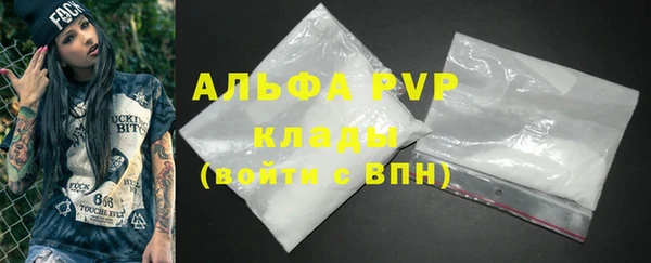 ECSTASY Богородицк
