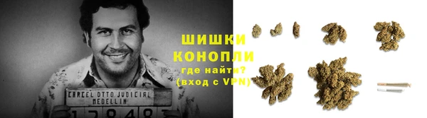 ECSTASY Богородицк