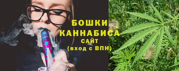 ECSTASY Богородицк